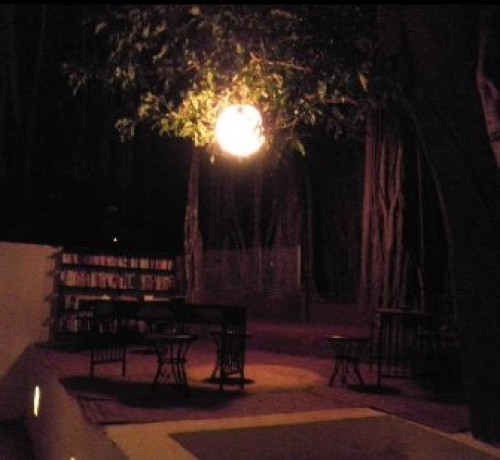 Library by evening