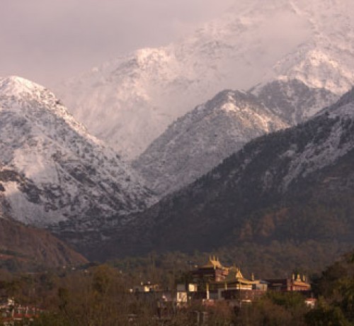 Snow-capped Dhauladhar