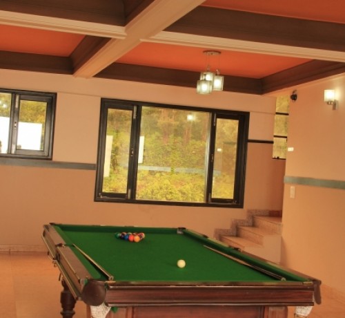 Pool Table