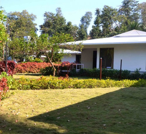 Distant View of the Cottage
