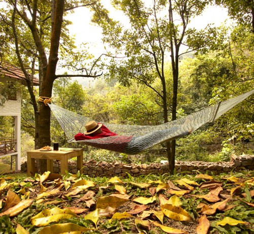 Hammock
