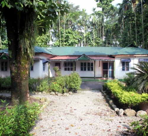 Garden Encircling the Bungalow