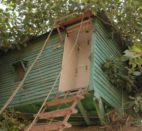 Tree Mansion