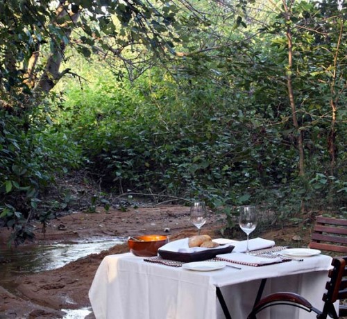 Jungle Dining