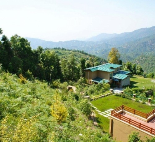 Amidst Lush Greenery