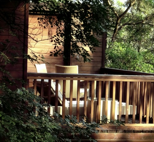 Overlooking the greenery