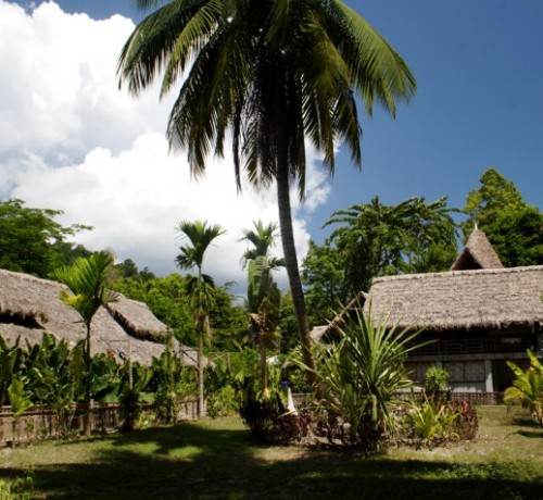 Cottage Amidst Garden