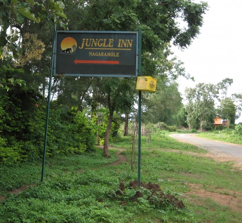 Jungle inn