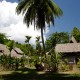 The Wild Orchid Resort