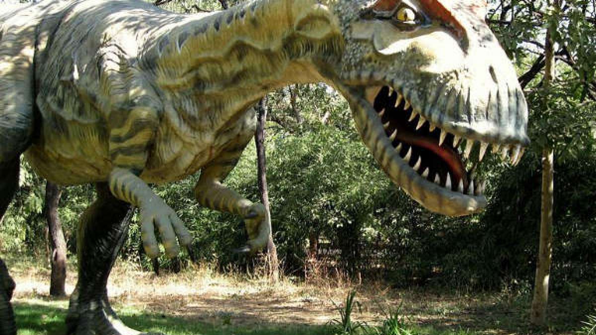 7 Fossil Parks of India Which You Should Visit!