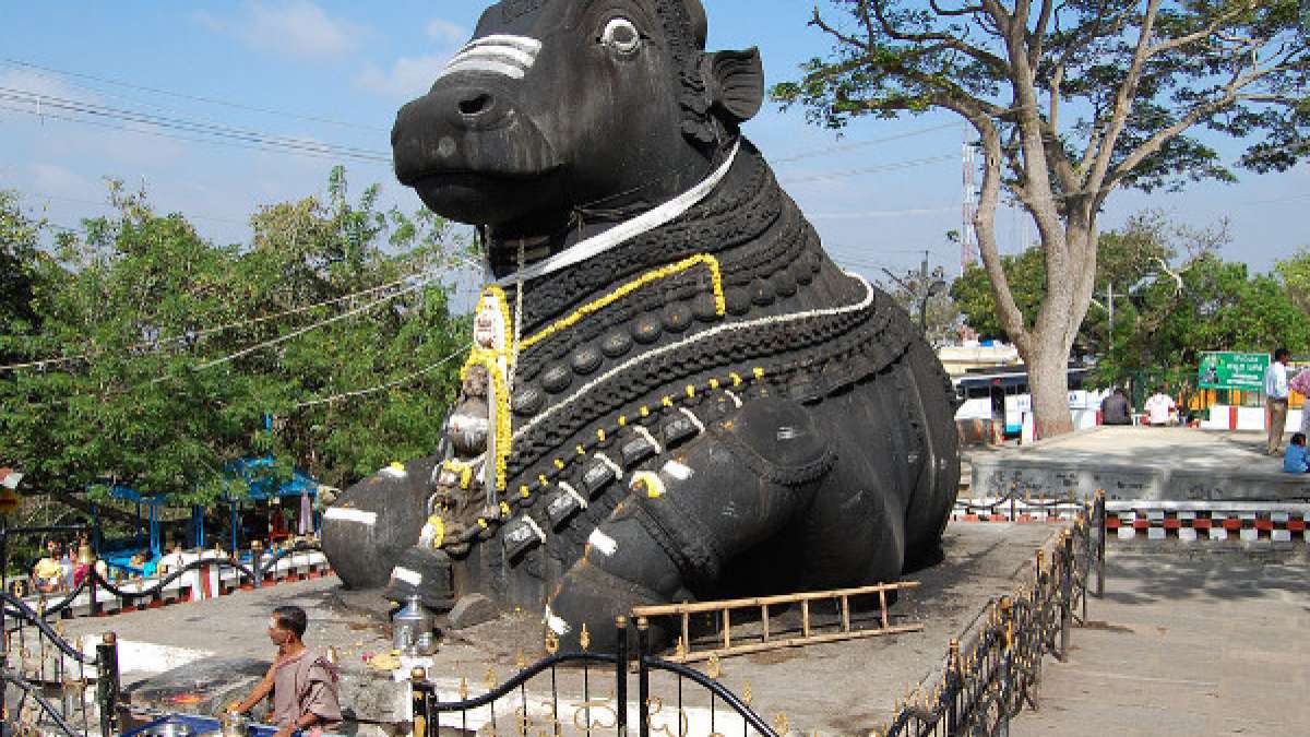 Have You Visited this Nandi in Chamundi Hills?