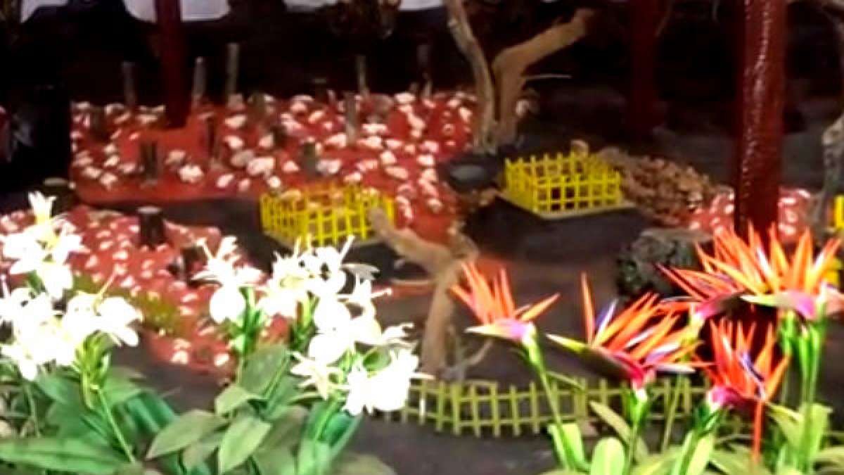 Visit to the Unique Thread Garden in Ooty