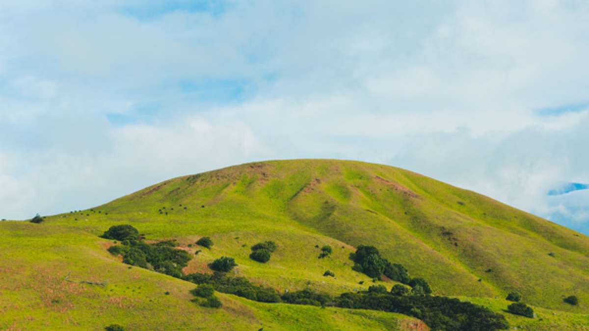 Places to visit in Yavatmal, Things To Do and How to reach