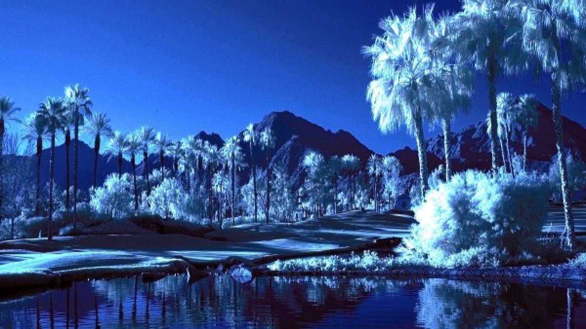 Ouled Said Oasis Location Facts History Algeria Africa