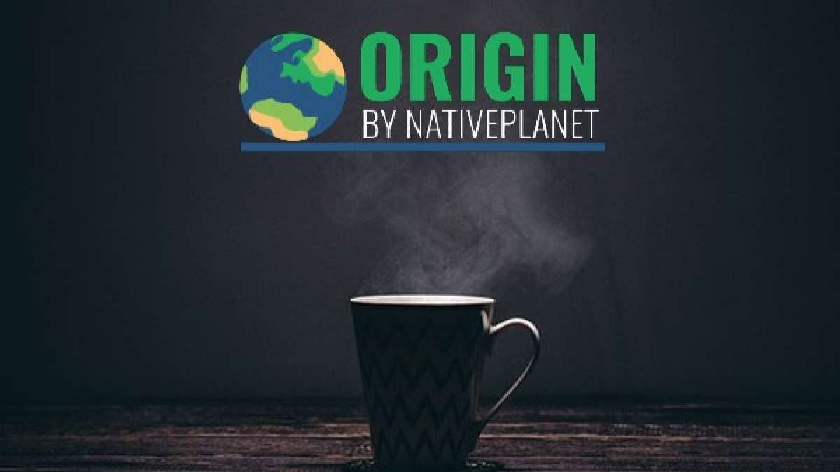 Origin World’s Best Cocoa Beans and where to find them TripSrip