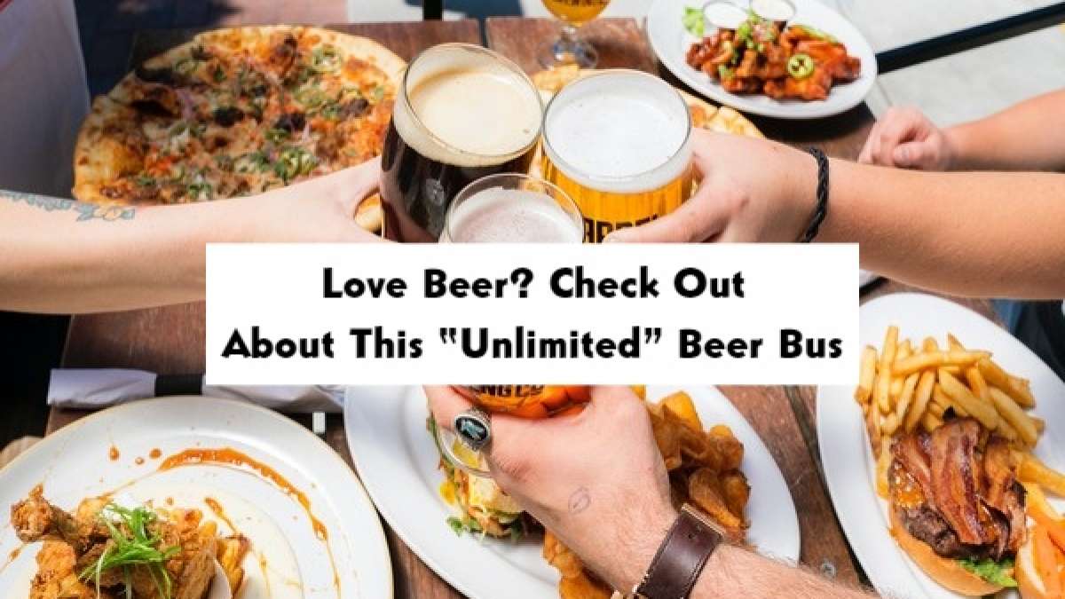 Beer Bus Unlimited Beer From Chennai To Pondicherry, Know Costs