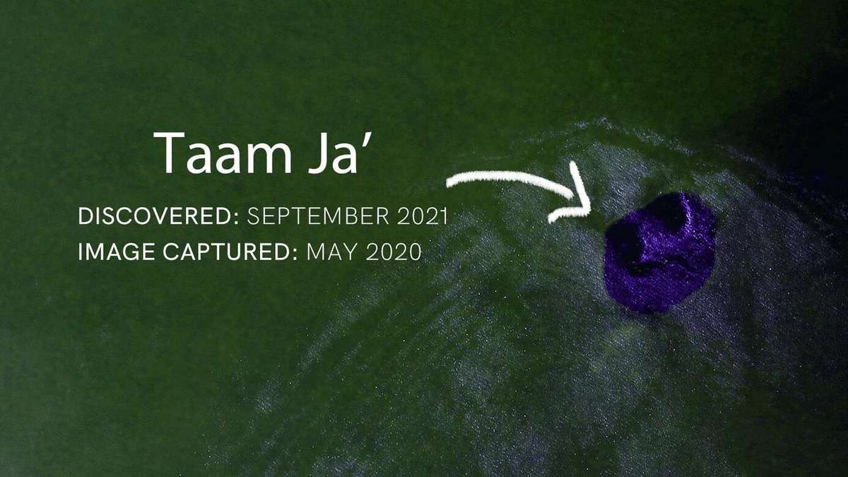 World’s Second Deepest Blue Hole Found In Mexico, Know Interesting