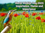 World Wildlife Day 2023: Time To Celebrate And Protect Wildlife