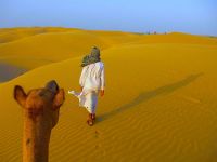 10 Best Places To Visit In Rajasthan In November