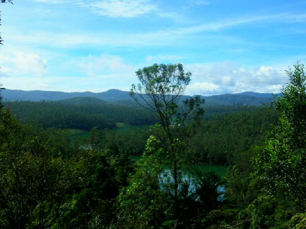 1. Nilgiri, Tamil Nadu