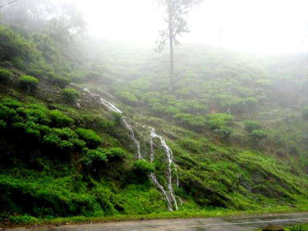 3. Peermede, Kerala