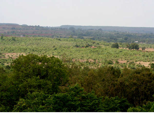 4. Ananthagiri Hills, Andhra Pradesh