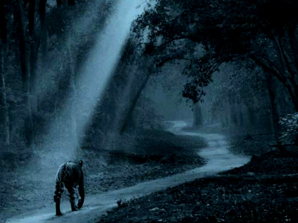 Jim Corbett National Park, Uttarakhand