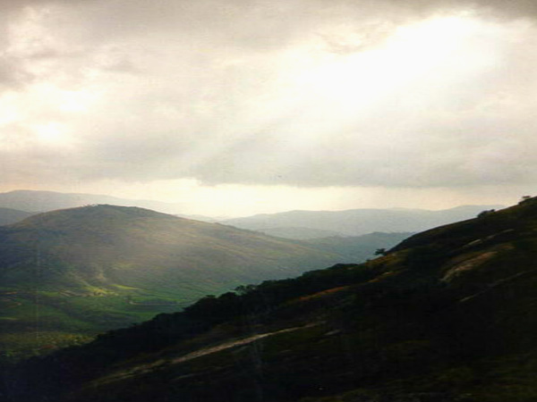 Anamudi Peak, Western Ghats