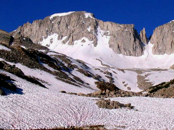 Abbott Mount