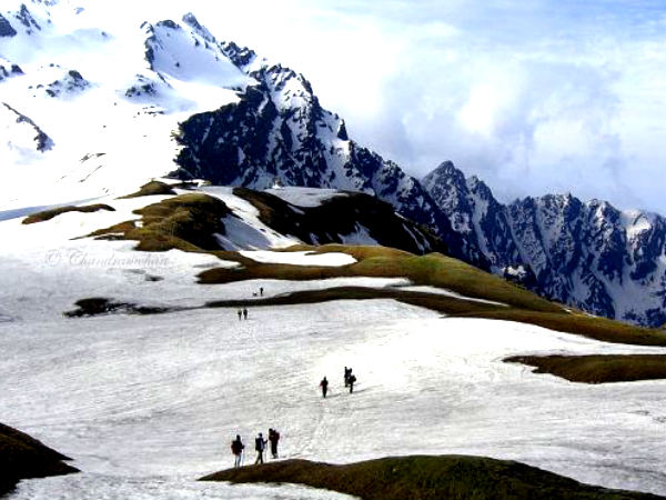 Shimla