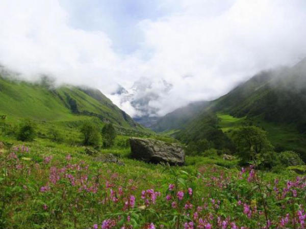 Valley of Flowers, Uttarakhand