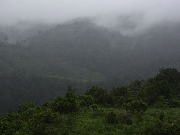 Silent Valley, Kerala