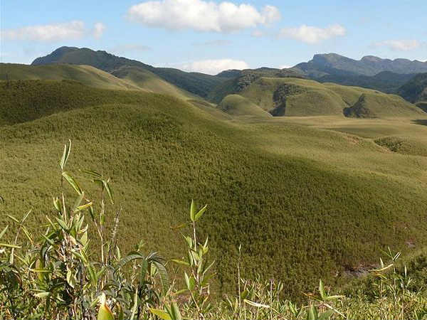 Dzukou Valley, Nagaland