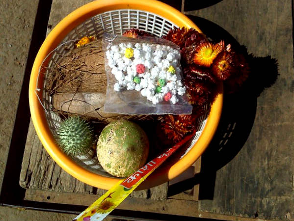 Bhimashankar Shrine, Maharashtra