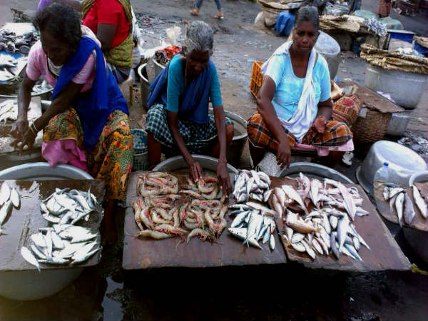Vizhinjam Fishing Village