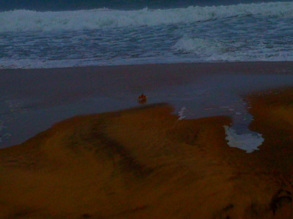 ...And a Crab