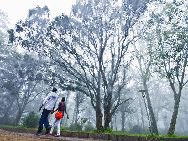 A Walk in the Clouds...