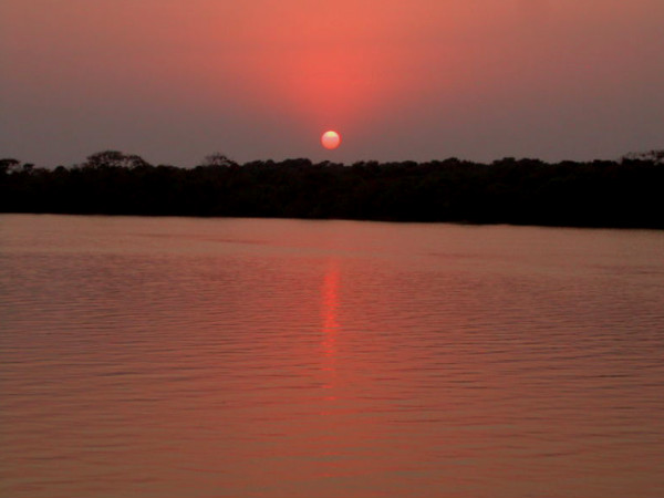 Bhitarkanika National Park