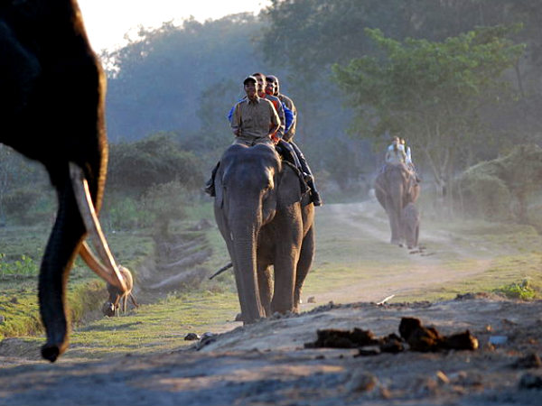 Pobitora Wildlife Sanctuary