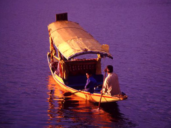 Shikara Boat Ride