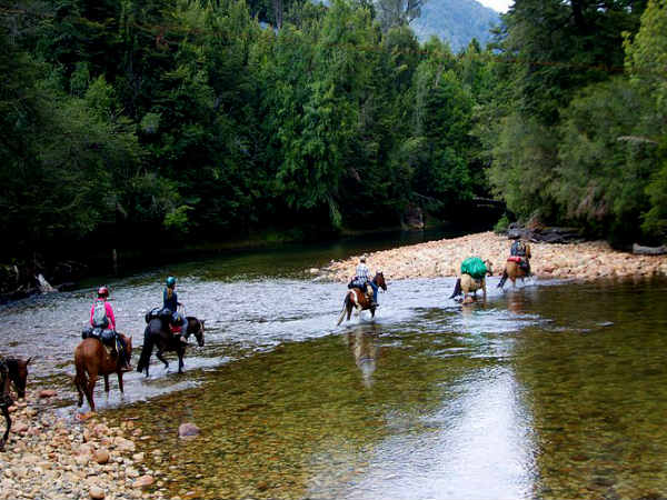 Horse Riding