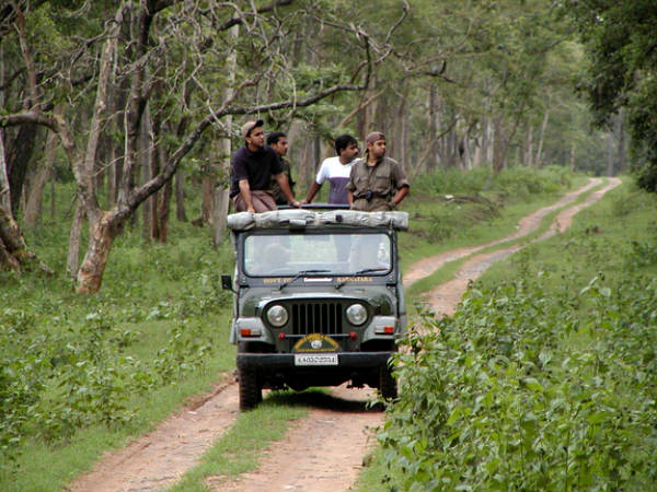 Jungle Safari at Mudumalai...