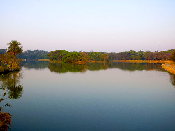 Lal Bagh Lake, A Bite of Nature!