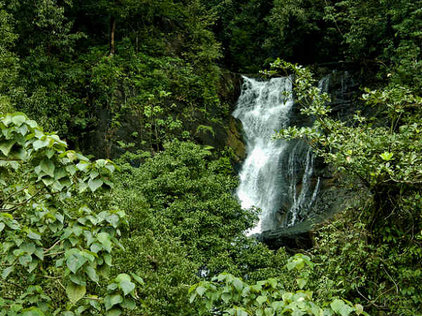 Kadambi Falls, Amidst Green Greens!