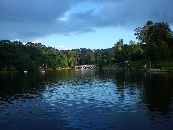 Wards Lake, Picture Perfect!
