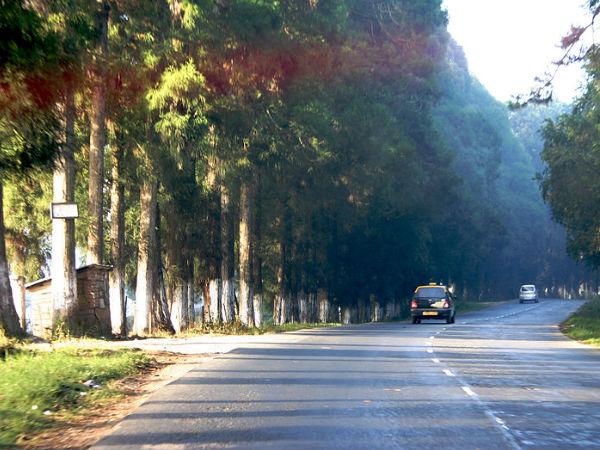 Enroute to Cherrapunji