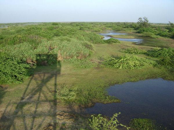 Vedaranyam
