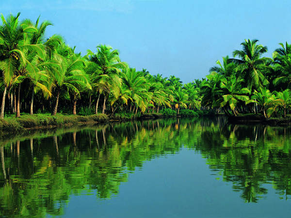 Divine Bliss!