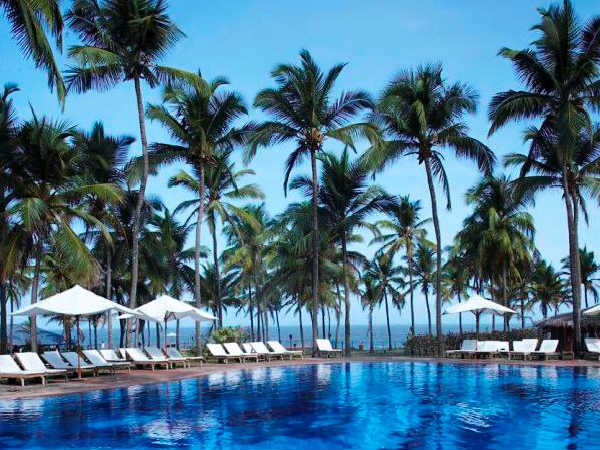 Go Goa, Get High on Love!
