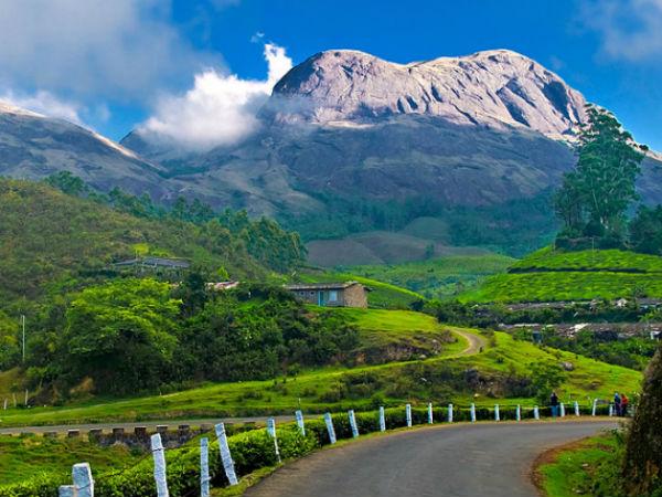 Trekking Trails around Munnar